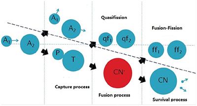 Fusion Dynamics of Low-Energy Heavy-Ion Collisions for Production of Superheavy Nuclei